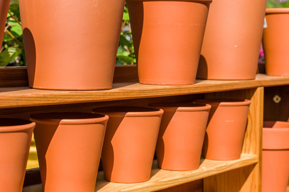 Can You Spray Paint Terracotta Pots?(Done In 5 Easy Steps)