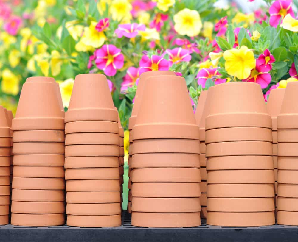 Can you spray paint terracotta pots?