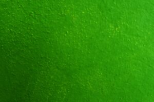 How Long Does Latex Paint Take to Dry?Proven expert Insights