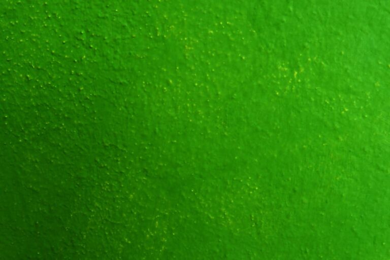 How Long Does Latex Paint Take to Dry?Proven expert Insights