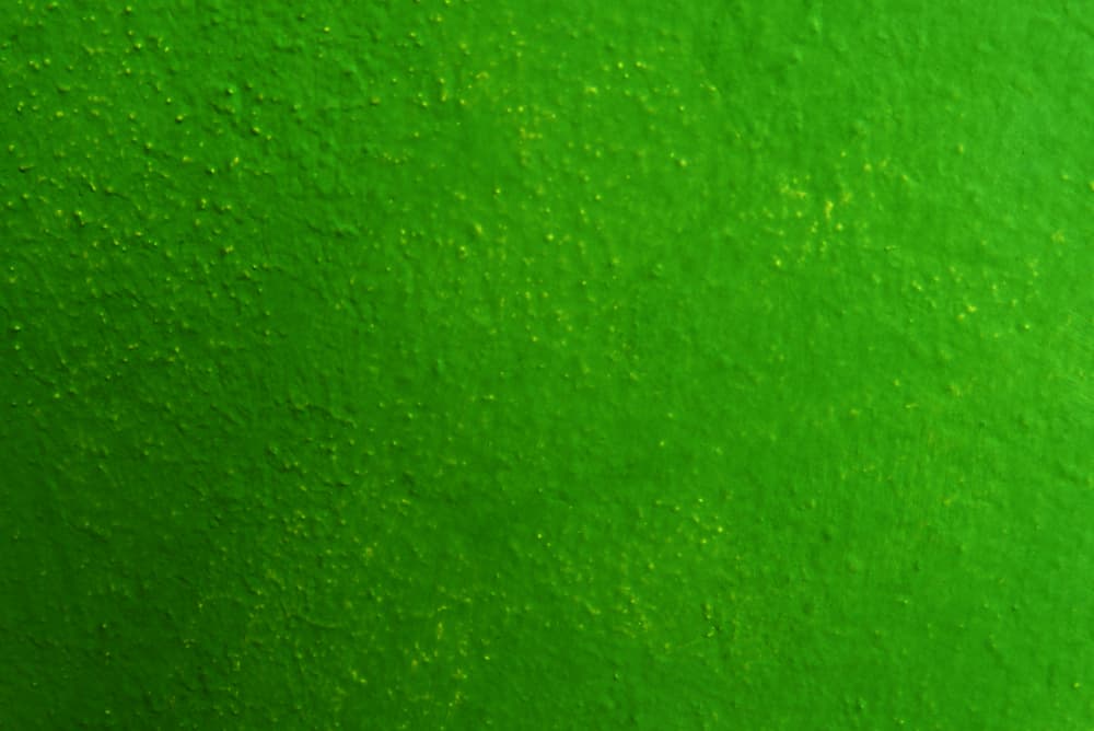 How Long Does Latex Paint Take To Dry Proven Expert Insights